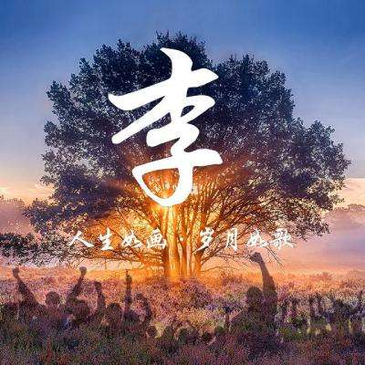奇妙大世界最新版下载